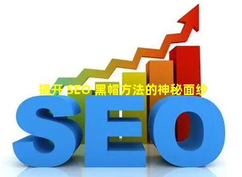 揭开 SEO 黑帽方法的神秘面纱